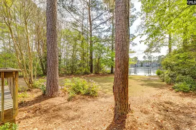 132 Greengate Drive, Columbia, SC 29223 - Photo 39