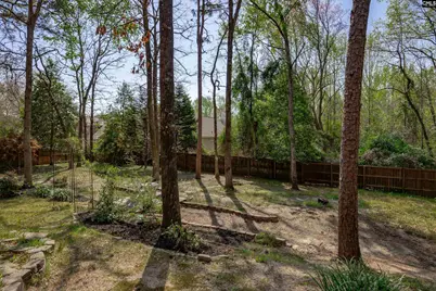 105 Alcott Court, Lexington, SC 29072 - Photo 45