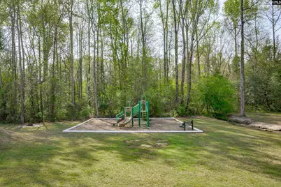 105 Alcott Court, Lexington, SC 29072 - Photo 49