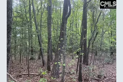 360 Rollingwood Drive, Lexington, SC 29072 - Photo 5