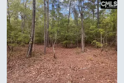 360 Rollingwood Drive, Lexington, SC 29072 - Photo 7