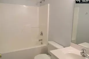 341 Cape Jasmine Way, Lexington, SC 29073 - Photo 7