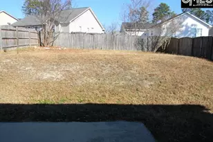 341 Cape Jasmine Way, Lexington, SC 29073 - Photo 11