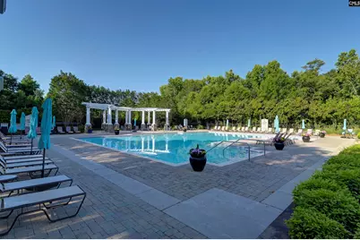 236 Crimson Queen Drive, Blythewood, SC 29016 - Photo 67