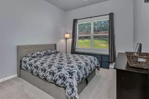 236 Crimson Queen Dr, Blythewood, SC 29016 - Photo 55