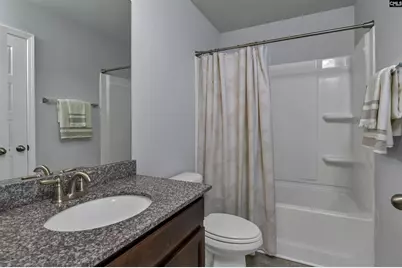 236 Crimson Queen Drive, Blythewood, SC 29016 - Photo 43