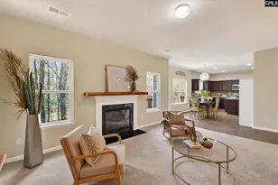 715 Soldier Gray Ln, Chapin, SC 29036 - Photo 17