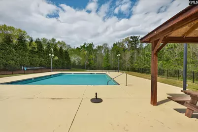 715 Soldier Gray Lane, Chapin, SC 29036 - Photo 55