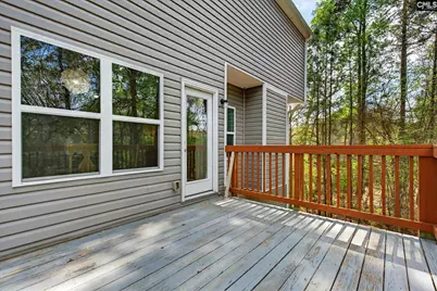 715 Soldier Gray Lane, Chapin, SC 29036 - Photo 49