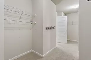 715 Soldier Gray Ln, Chapin, SC 29036 - Photo 31