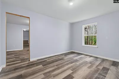 715 Soldier Gray Lane, Chapin, SC 29036 - Photo 45