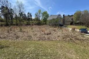 388 Hay Hill Ct, Elgin, SC 29045 - Photo 1