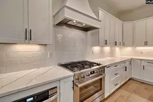 816 Elms Spinney Ln, Chapin, SC 29036 - Photo 5