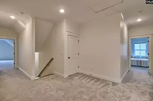 816 Elms Spinney Ln, Chapin, SC 29036 - Photo 29