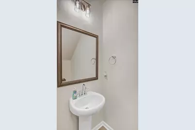 522 Cooley Farm Court, Blythewood, SC 29016 - Photo 17