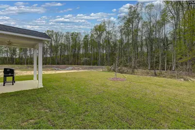522 Cooley Farm Court, Blythewood, SC 29016 - Photo 3