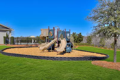 1919 Pink Orchard Court, Lexington, SC 29073 - Photo 35