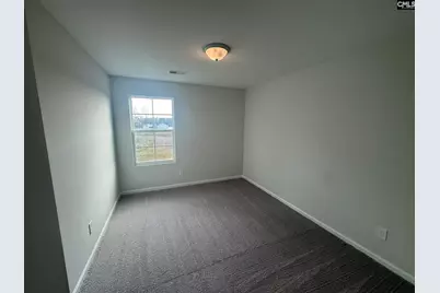 3027 Hallsdale Drive, Elgin, SC 29045 - Photo 11