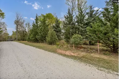 282 Poplar Point Road, Batesburg, SC 29006 - Photo 29