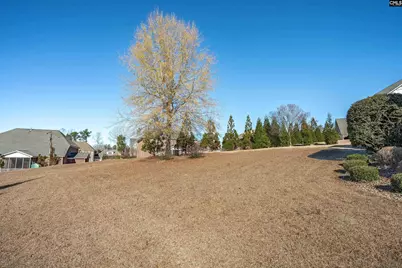 510 House Wren Lane, Blythewood, SC 29016 - Photo 69