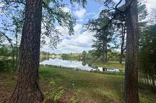 1332 Dogwood Dr, Orangeburg, SC 29118 - Photo 21