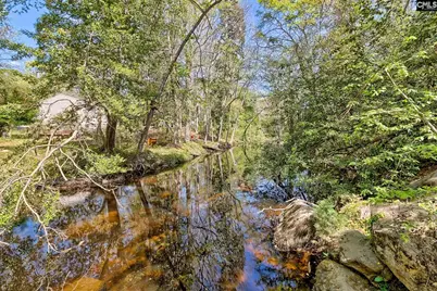 108 Middlebrook Drive, Lexington, SC 29072 - Photo 53