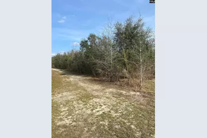0 Sea Ray Lane, Marion, SC 29571 - Photo 3