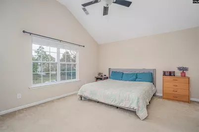 142 Whitton Court, Lexington, SC 29073 - Photo 15