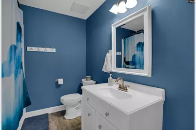 1116 Silver Point Road, Chapin, SC 29036 - Photo 31