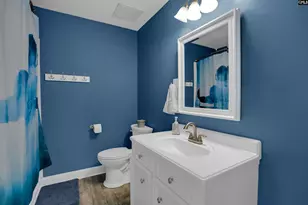 1116 Silver Point Rd, Chapin, SC 29036 - Photo 31