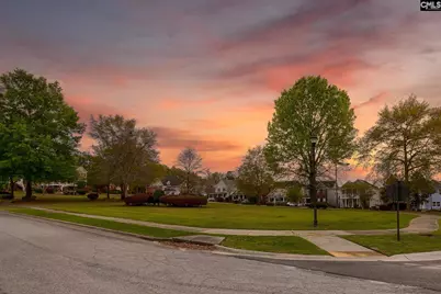 107 Durden Park Row, Blythewood, SC 29016 - Photo 53
