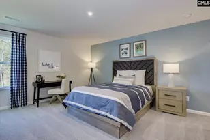 323 Granny&apos S Cut Way, Chapin, SC 29036 - Photo 45