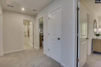 323 Granny's Cut Way, Chapin, SC 29036 - Photo 41