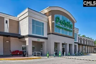 327 Granny&apos S Cut Way, Chapin, SC 29036 - Photo 47