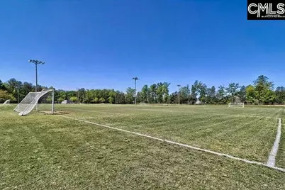 327 Granny's Cut Way, Chapin, SC 29036 - Photo 43