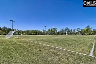 327 Granny&apos S Cut Way, Chapin, SC 29036 - Photo 43