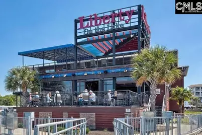 327 Granny's Cut Way, Chapin, SC 29036 - Photo 45