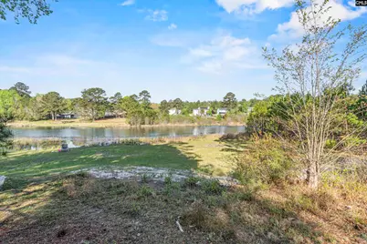 442 McLee Road, Lexington, SC 29073 - Photo 29