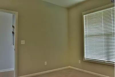 324 Joshua Tree Court, Blythewood, SC 29016 - Photo 7