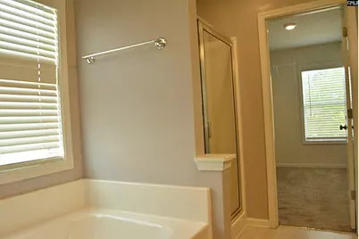 324 Joshua Tree Court, Blythewood, SC 29016 - Photo 43