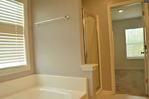 324 Joshua Tree Ct, Blythewood, SC 29016 - Photo 43