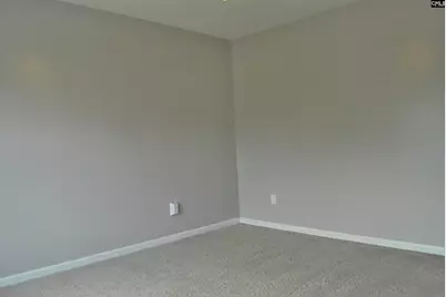 324 Joshua Tree Court, Blythewood, SC 29016 - Photo 27