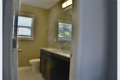 324 Joshua Tree Court, Blythewood, SC 29016 - Photo 15