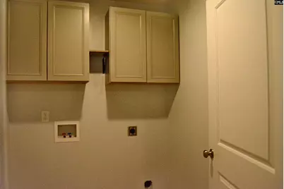 324 Joshua Tree Court, Blythewood, SC 29016 - Photo 17