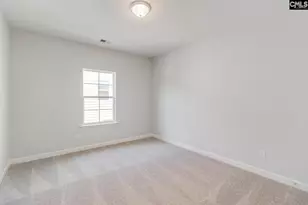 345 Rising Stream Wy, Chapin, SC 29036 - Photo 25