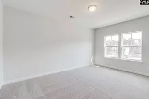 345 Rising Stream Wy, Chapin, SC 29036 - Photo 27