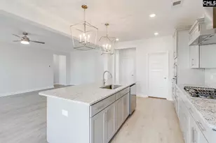 345 Rising Stream Wy, Chapin, SC 29036 - Photo 7