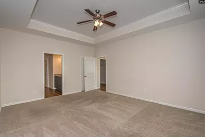 147 Doolittle Drive, Chapin, SC 29036 - Photo 35