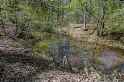 944 Cross Creek Road, Ridgeway, SC 29130 - Photo 61
