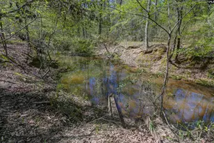 944 Cross Creek Rd, Ridgeway, SC 29130 - Photo 61